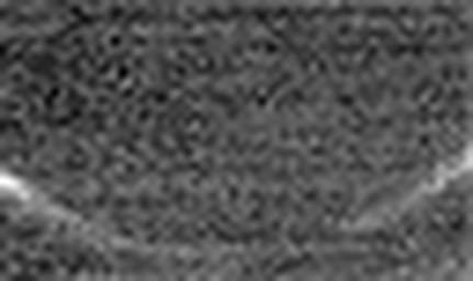 1639252861_1 @ 1.01 µm