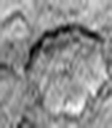 1567130219_1 @ 1.78 µm