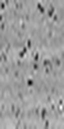 1638862364_1 @ 1.78 µm