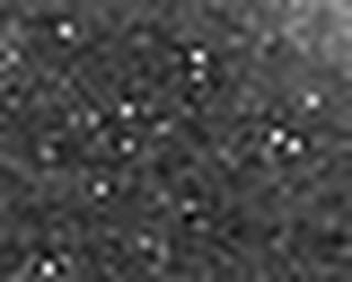 1561662564_1 @ 2.0017 µm