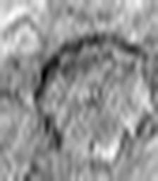 1567130219_1 @ 2.0017 µm