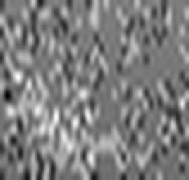 1558902790_1 @ 3.0969 µm