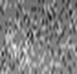 1558902814_1 @ 3.0969 µm