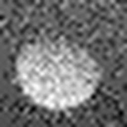 1567150674_1 @ 3.0969 µm