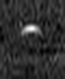 1635775118_1 @ 3.0969 µm