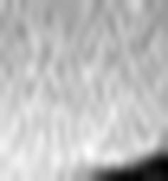 1665998016_1 @ 3.0969 µm