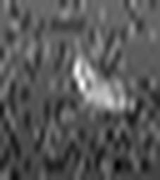 1669601479_1 @ 3.0969 µm