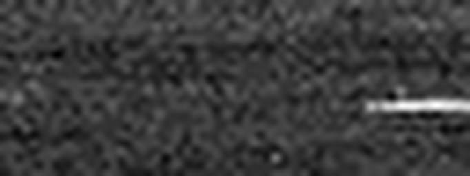 1674355306_1 @ 3.0969 µm
