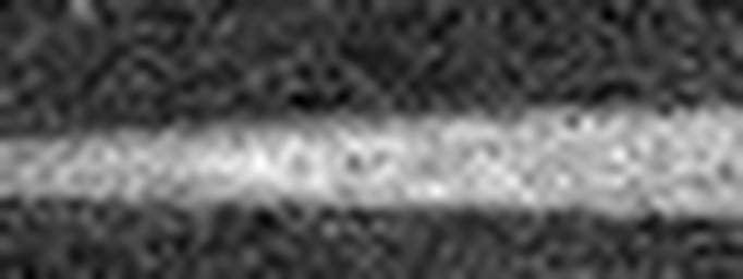 1547757352_1 @ 5 µm