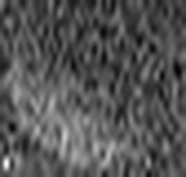 1558902814_1 @ 5 µm