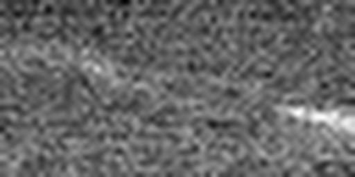 1561409637_1 @ 5 µm