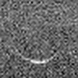 1568087821_1 @ 5 µm