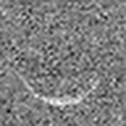 1568089685_1 @ 5 µm