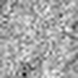 1568127937_1 @ 5 µm