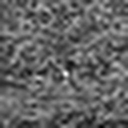 1577498796_1 @ 5 µm
