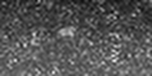 1717570872_1 @ 5 µm