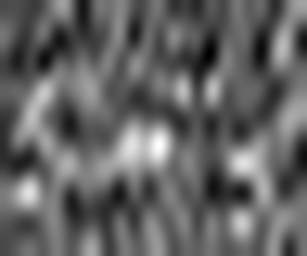 1875939739_1 @ 5 µm