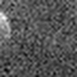 1548815583_1 @ 5 µm