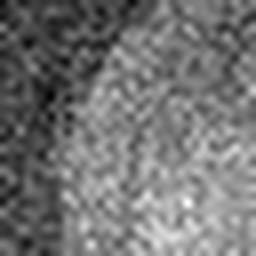 1550837381_1 @ 5 µm