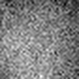 1557712973_1 @ 5 µm