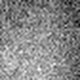 1557713018_1 @ 5 µm