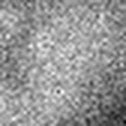 1557716969_1 @ 5 µm