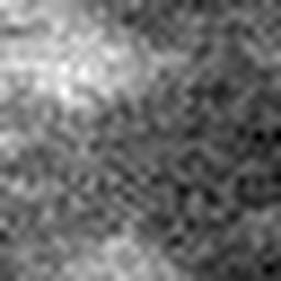 1563514575_1 @ 5 µm