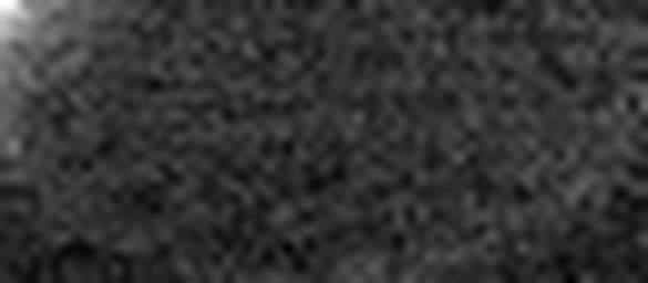 1596187639_1 @ 5 µm