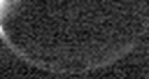 1616848992_1 @ 5 µm