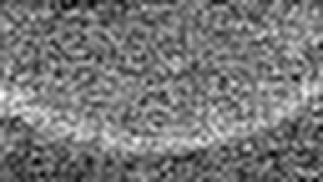 1620237612_1 @ 5 µm