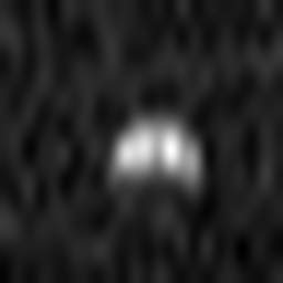 1660727895_1 @ 5 µm