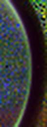 1559054473_1 @ 1.58/1.28 ; 2.04/1.28 ; 1.28/1.07 µm