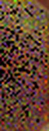 1575484333_1 @ 1.58/1.28 ; 2.04/1.28 ; 1.28/1.07 µm