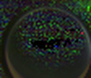 1683550550_1 @ 1.58/1.28 ; 2.04/1.28 ; 1.28/1.07 µm