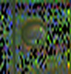 1808085963_1 @ 1.58/1.28 ; 2.04/1.28 ; 1.28/1.07 µm