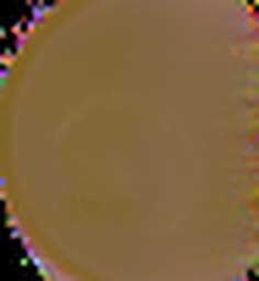 1881118486_1 @ 1.58/1.28 ; 2.04/1.28 ; 1.28/1.07 µm