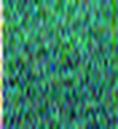1582304848_1 @ 5 ; 1.58 ; 1.29 µm