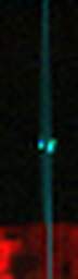 1715855896_1 @ 5 ; 2.75 ; 2.03 µm