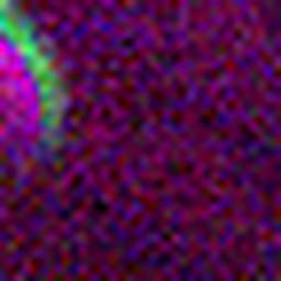 1548815526_1 @ 5 ; 3.32 ; 3.22 µm
