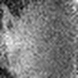 1557712973_1 @ 1.59/1.26 µm